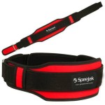 Weight Lifting Belt